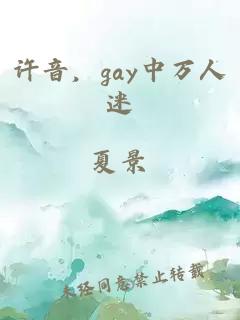 许音，gay中万人迷