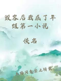 毁容后我成了年级第一小说