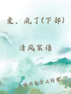 爱，疯了(下部)