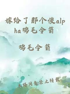 嫁给了那个傻alpha鸡毛令箭