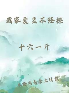 我家爱豆不经撩