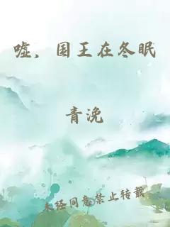 嘘，国王在冬眠