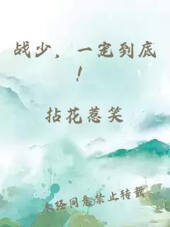 战少，一宠到底！