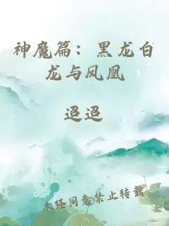 神魔篇：黑龙白龙与凤凰
