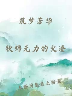 筑梦芳华