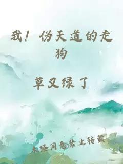 我！伪天道的走狗