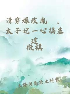 清穿爆改胤礽，太子妃一心搞基建