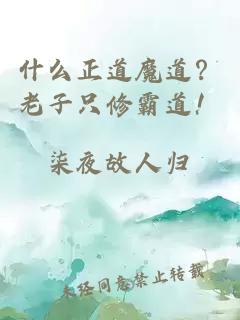 什么正道魔道？老子只修霸道！