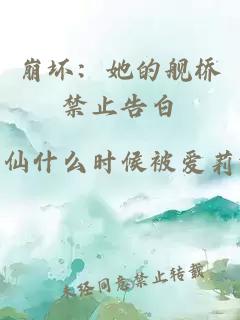 崩坏：她的舰桥禁止告白