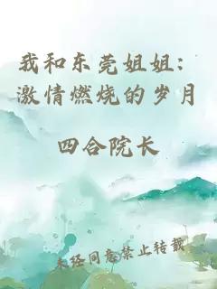 我和东莞姐姐：激情燃烧的岁月