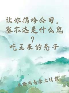 让你搞垮公司，塞尔达是什么鬼？