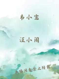 韦小宝