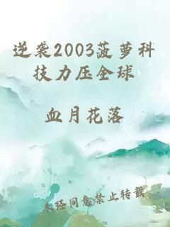 逆袭2003菠萝科技力压全球