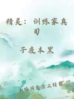 精灵：训练家真司