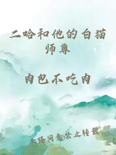 二哈和他的白猫师尊