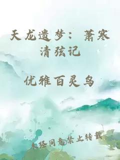 天龙遗梦：萧寒清弦记