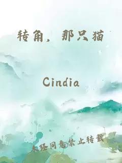 转角，那只猫
