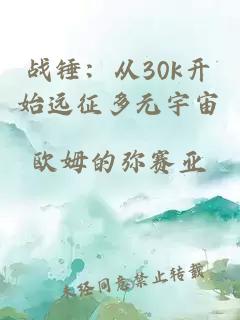 战锤：从30k开始远征多元宇宙