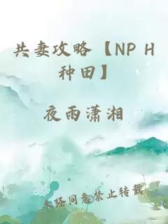 共妻攻略【NP H 种田】