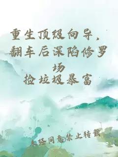 重生顶级向导，翻车后深陷修罗场