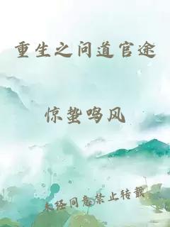 重生之问道官途
