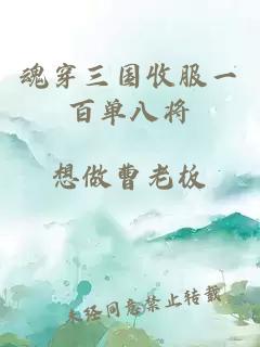 魂穿三国收服一百单八将
