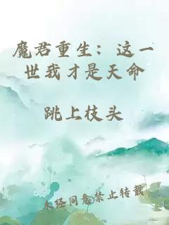 魔君重生：这一世我才是天命