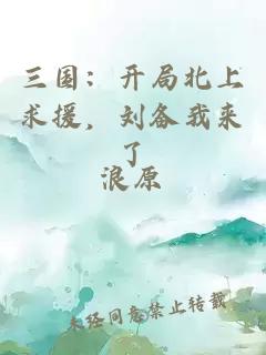 三国：开局北上求援，刘备我来了