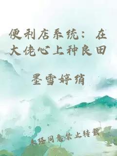 便利店系统：在大佬心上种良田