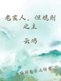 老实人，但规则之主