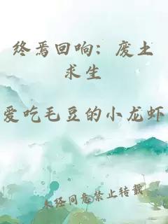 终焉回响：废土求生