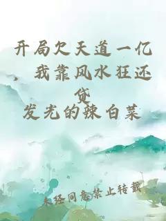 开局欠天道一亿，我靠风水狂还贷