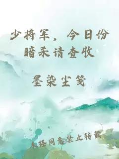 少将军，今日份暗杀请查收