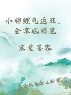 小锦鲤气运旺，全京城团宠