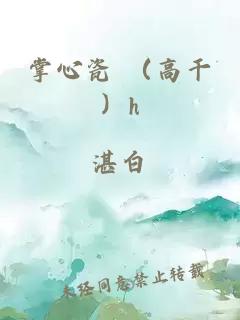 掌心瓷 （高干）h