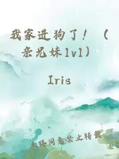 我家进狗了！（亲兄妹1v1）