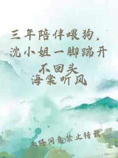 三年陪伴喂狗，沈小姐一脚踹开不回头