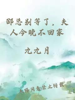 邵总别等了，夫人今晚不回家