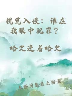 视觉入侵：谁在我眼中犯罪？