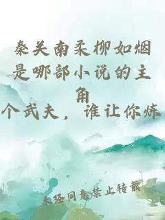 秦关南柔柳如烟是哪部小说的主角
