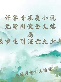 许霁青苏夏小说免费阅读全文结局