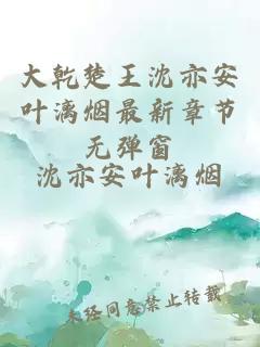 大乾楚王沈亦安叶漓烟最新章节无弹窗