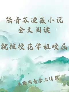 陆青苏凌薇小说全文阅读