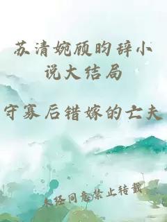 苏清婉顾昀辞小说大结局