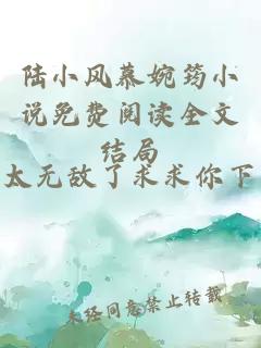 陆小风慕婉筠小说免费阅读全文结局