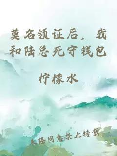 莫名领证后，我和陆总死守钱包