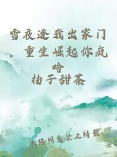 雪夜逐我出家门，重生崛起你疯啥