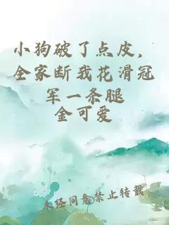 小狗破了点皮，全家断我花滑冠军一条腿