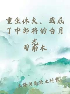 重生休夫，我成了中郎将的白月光