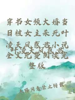 穿书女频大婚当日被女主杀死叶凌天凤惑君小说全文免费阅读完整版